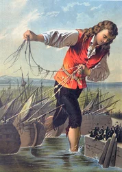Illustrazione da 